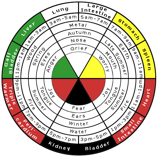 5 elements circadian