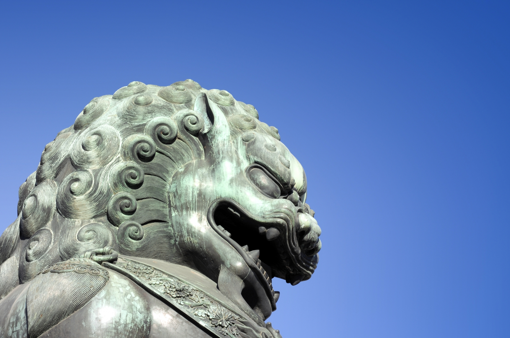 Tai Chi Breath Beijing Lion