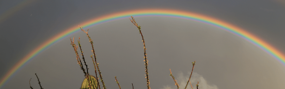 crazy_dbl_rainbow_img_13770.25x.png image