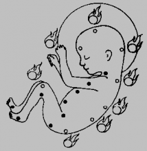 Baby Circulation