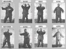 Old time black and white pictures of Wang Shujin training postures