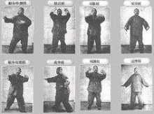 Multiple pictures of Wang Shujin in standing postures